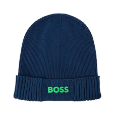 Boss Asic_Beanie-X Teal