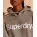 Superdry Core Logo Flock Hoodie Soft Grey Marl