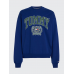 Tommy Jeans Boxy College Graphic Crew Navy Voyage