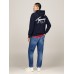Tommy Jeans Reg Entry Graphic Hood Dark Night Navy