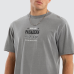 Nena and Pasadena Horizon Classic Tee Pigment Frost Grey