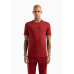 EA7 Emporio Armani Reg Fit Tee Burgundy