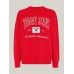 Tommy Jeans Relaxed Archive Crew Sweater Deep Crimson