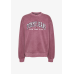 Tommy Jeans Relaxed Varsity Crew Neck Sweater Deep Rouge WMNS