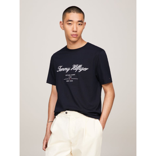 Tommy Hilfiger Script Logo Tee Desert Sky