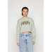 Tommy Jeans Crop Luxe Varsity Crew Faded Willow Wmn